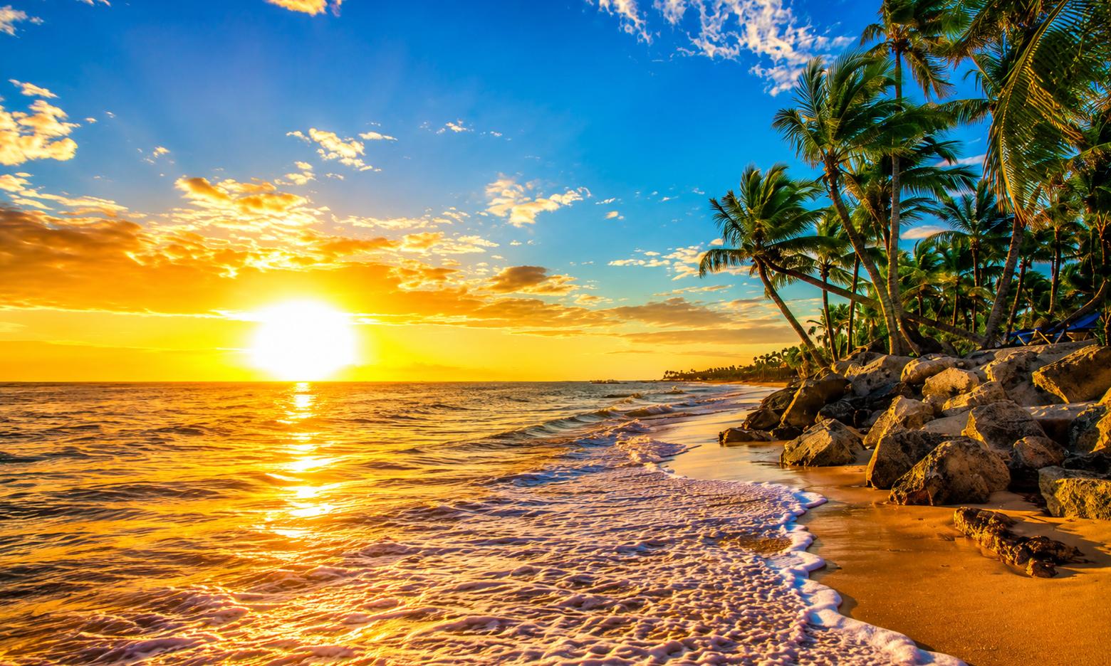 PUNTA CANA - FEBRERO 2027 
