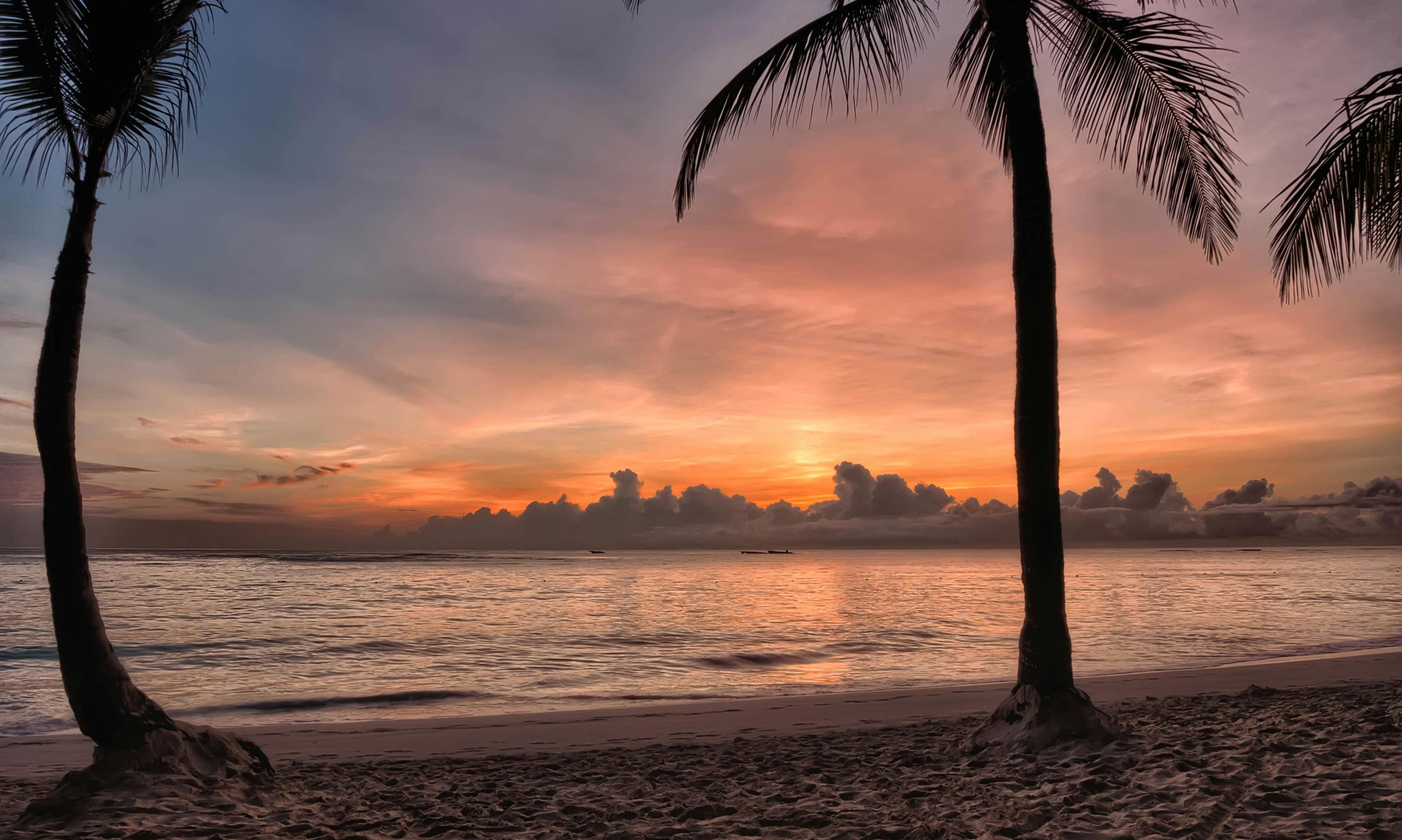 PUNTA CANA - FEBRERO 2027 